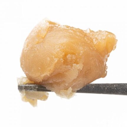Garlic Cocktail resin badder - Whole Melt Extracts