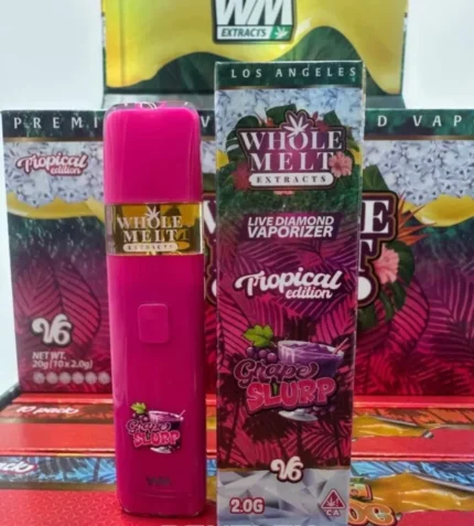Grape Slurp Tropical Edition V6 Disposable 2025 For Sale