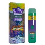 Mochiesel Whole Melts Disposable – Hybrid - Official Whole Melt Extracts