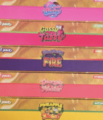 V4 Whole Melts Disposable - 50 Pack Master Box - Official Whole Melt Extracts