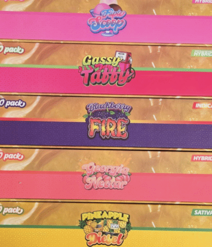 V4 Whole Melts Disposable - 50 Pack Master Box - Official Whole Melt Extracts